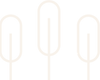 ima